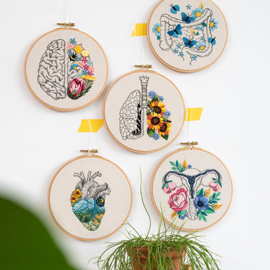 May include: Five embroidery hoops with different anatomical illustrations. The hoops are white with black outlines and feature colorful floral designs. The illustrations include a heart, lungs, uterus, brain, and intestines.