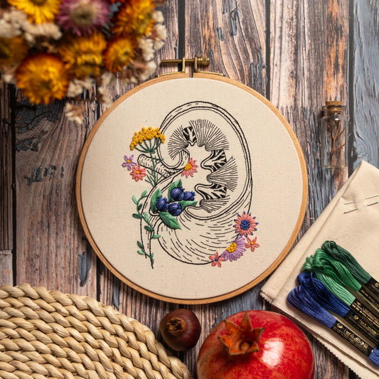 Healthy Kidney & Blueberry Flowers – Anatomical Embroidery Pattern PDF