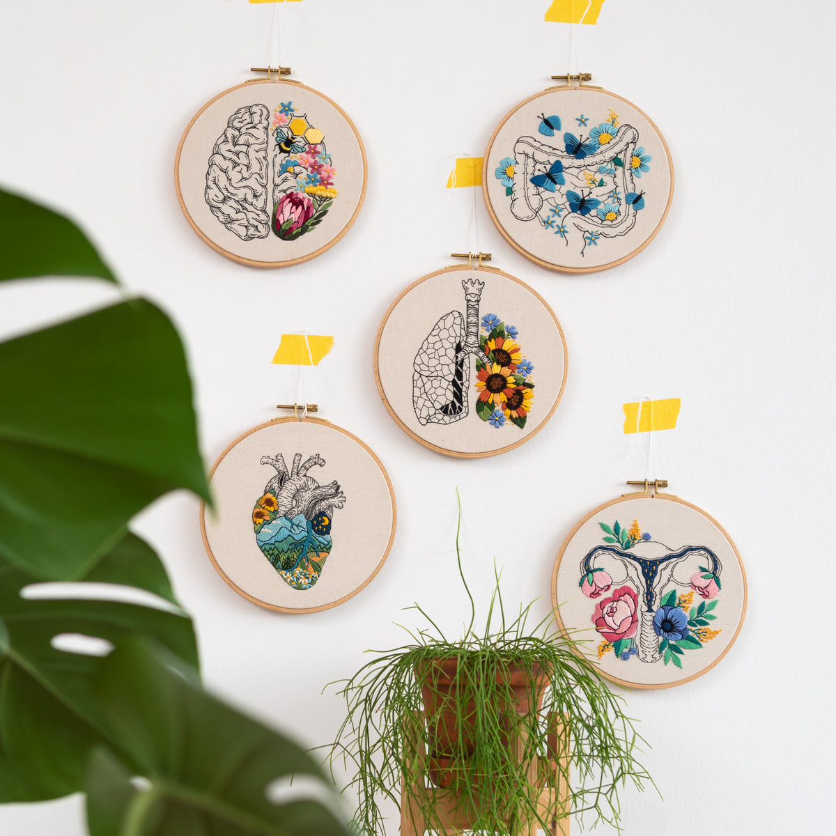 Human Nature I – 5 Anatomical Embroidery Patterns Bundle PDF