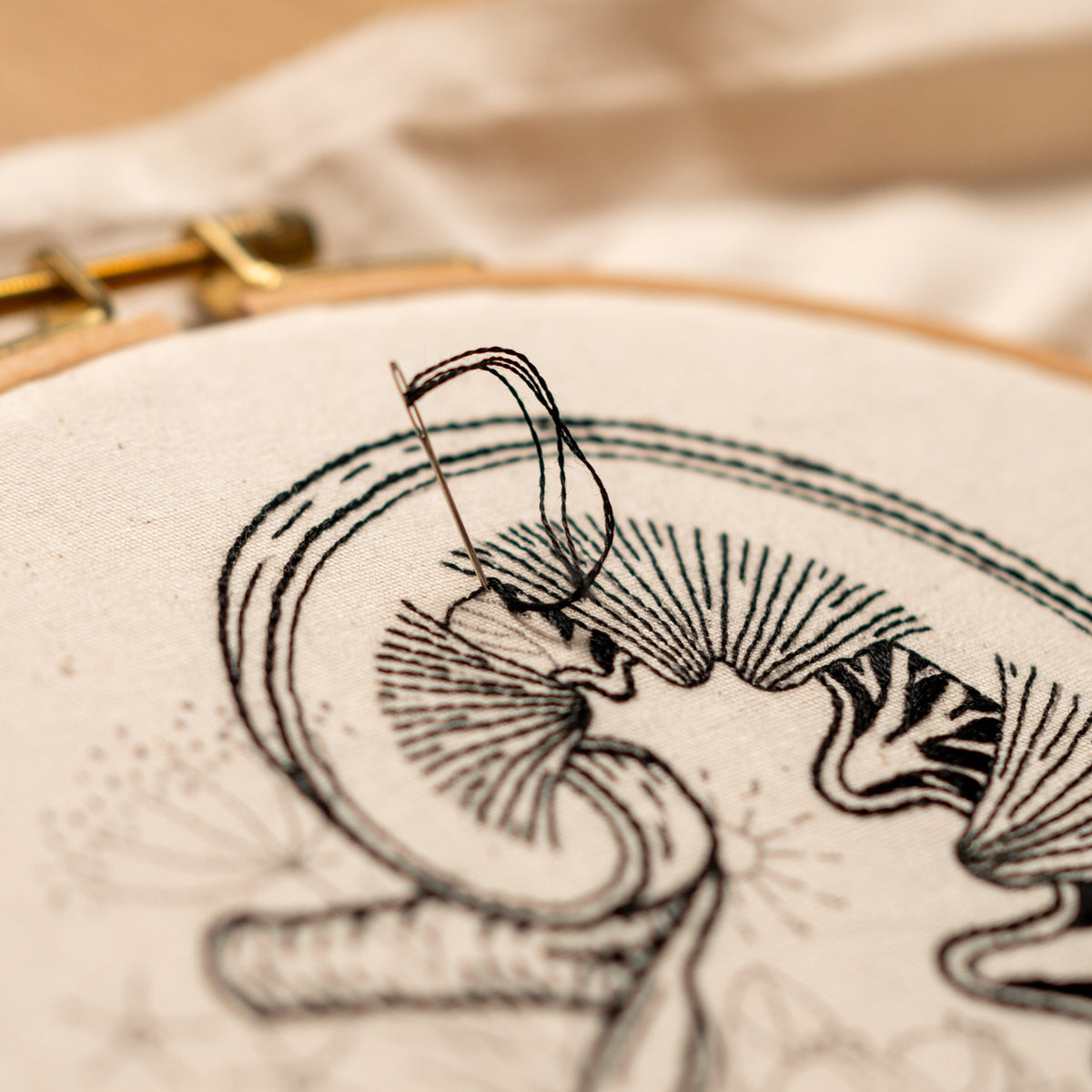 Human Nature II – 4 Anatomical Embroidery Patterns Bundle PDF