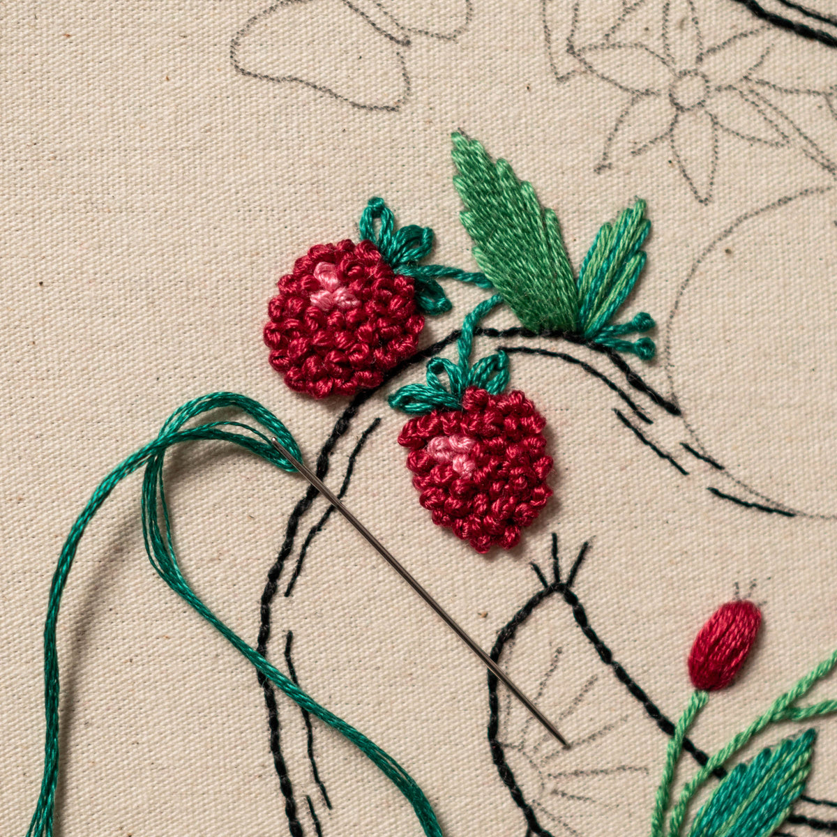 Human Nature II – 4 Anatomical Embroidery Patterns Bundle PDF
