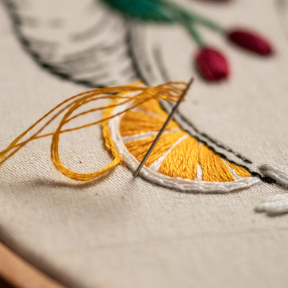Stomach in Bloom & Citrus Flowers – Anatomical Embroidery Pattern PDF
