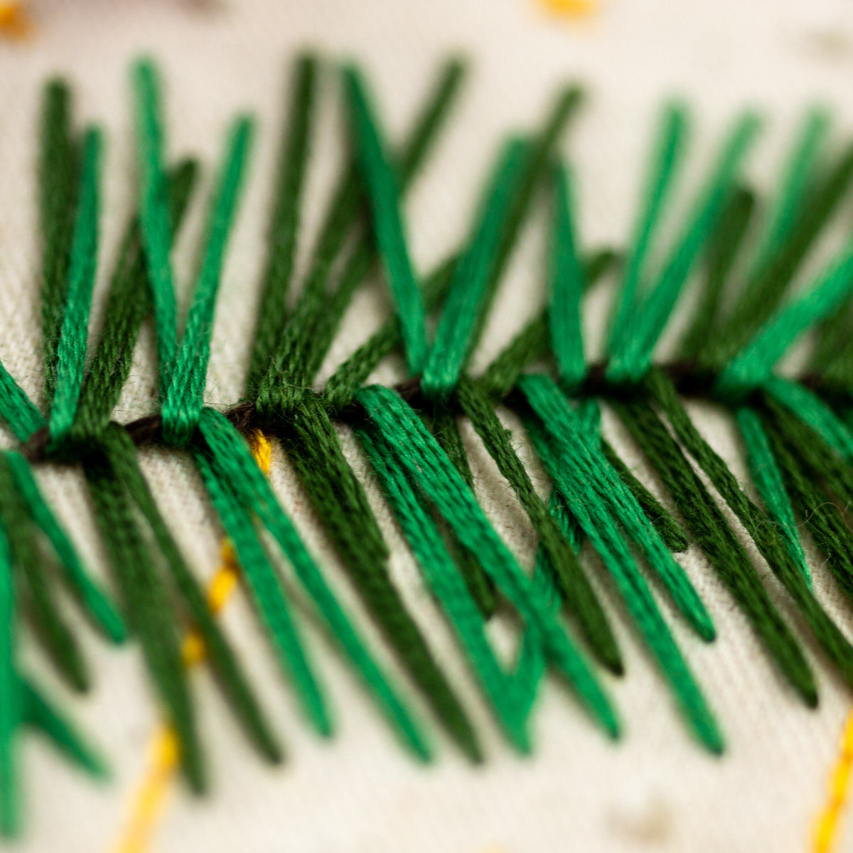 May include: Close-up of green embroidery thread stitched in a pattern resembling pine needles on a white fabric background.
