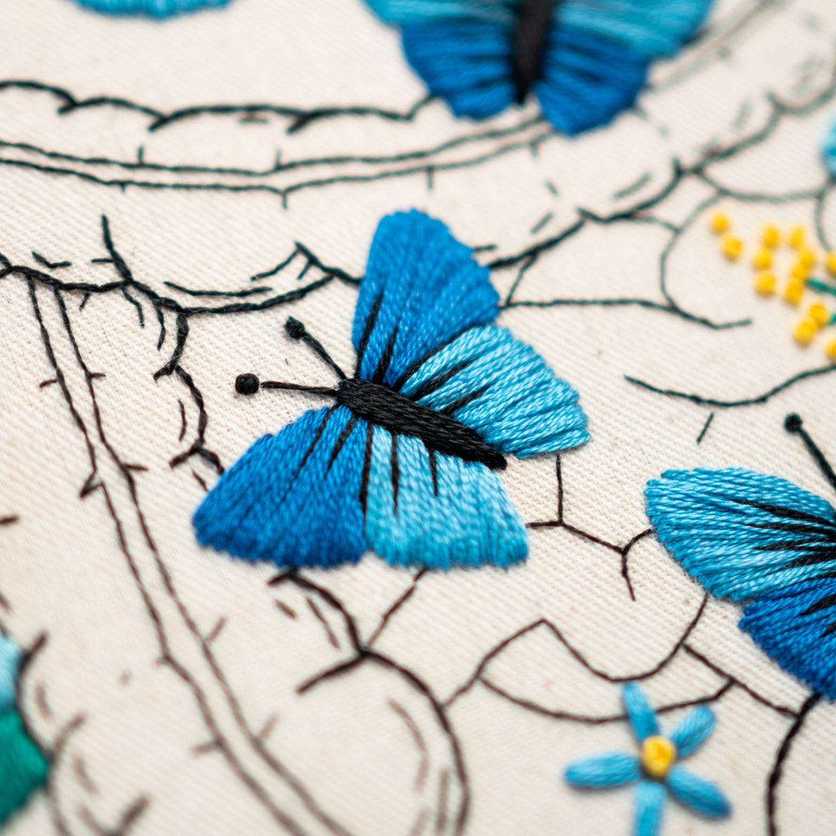 May include: Close-up of a blue embroidered butterfly on a white fabric background. The butterfly has black stitching for the body and antennae.