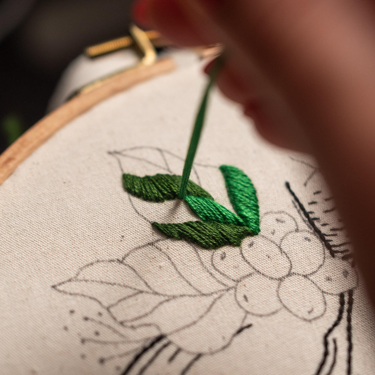 May include: Close-up of a person embroidering green leaves on a white fabric with a black outline. The fabric is stretched in a wooden embroidery hoop.