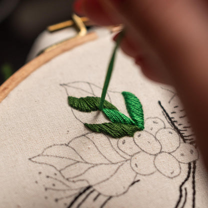 May include: Close-up of a person embroidering green leaves on a white fabric with a black outline. The fabric is stretched in a wooden embroidery hoop.